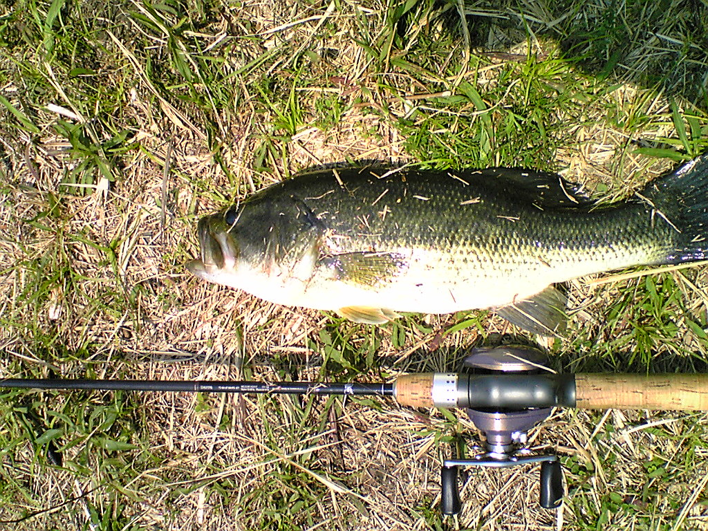 Image048.jpg