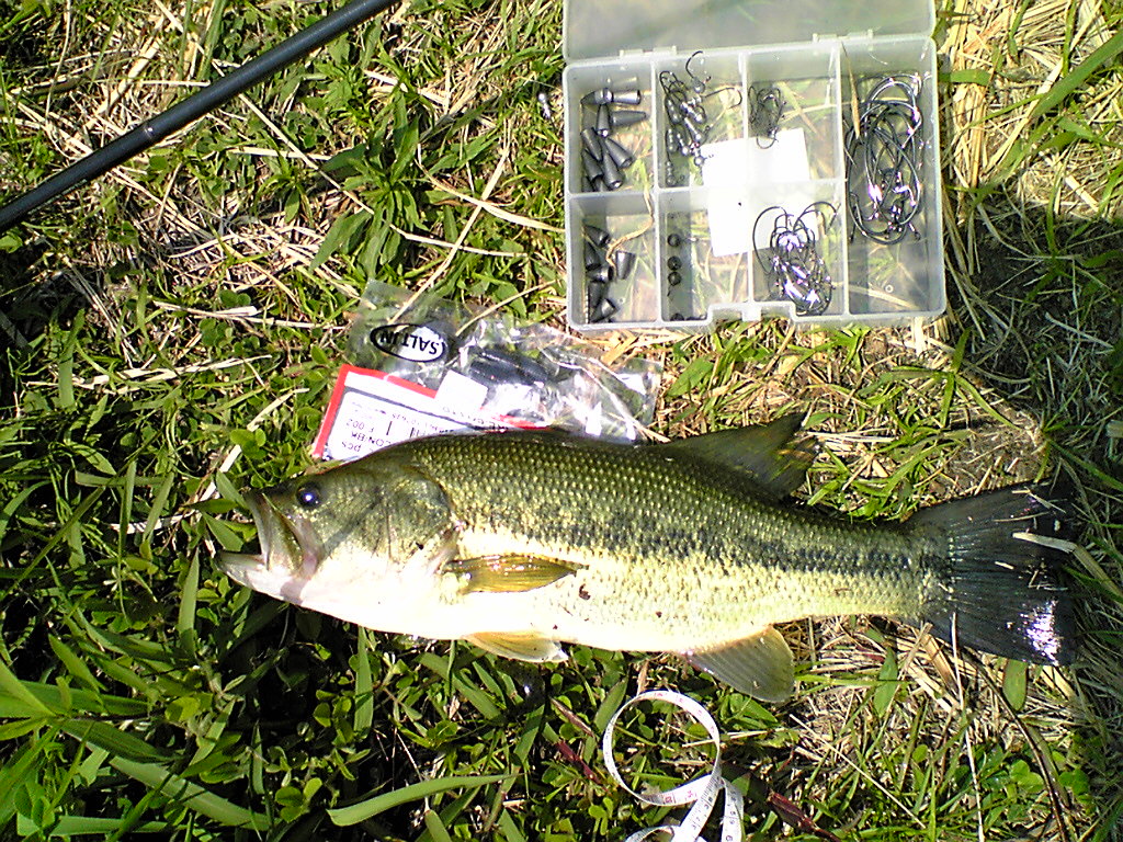 Image051.jpg