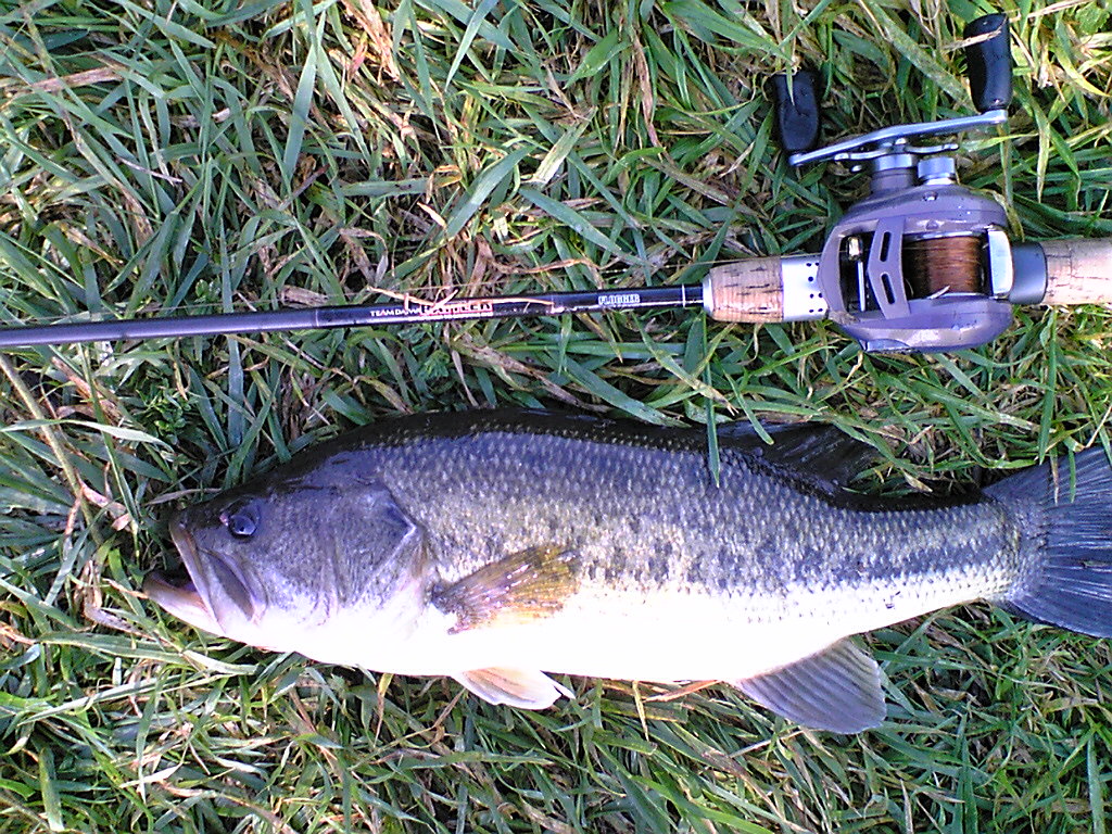 Image069.jpg