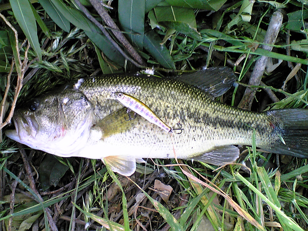 Image013~00.jpg