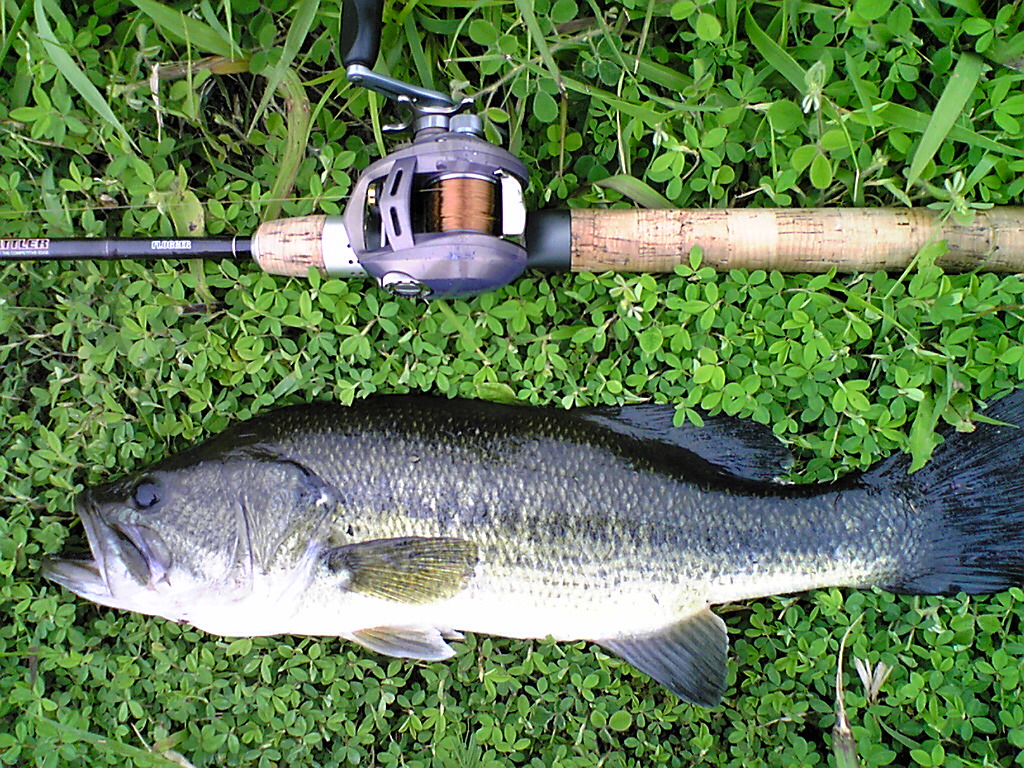Image068.jpg
