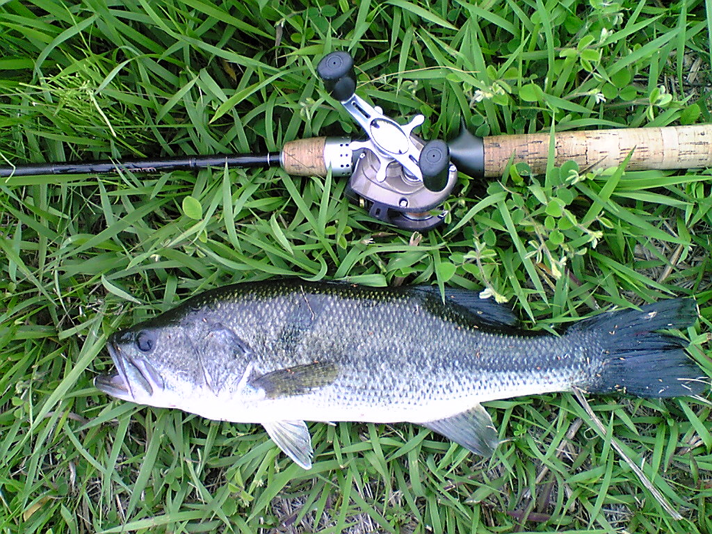 Image078.jpg
