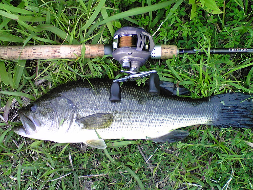 Image081.jpg