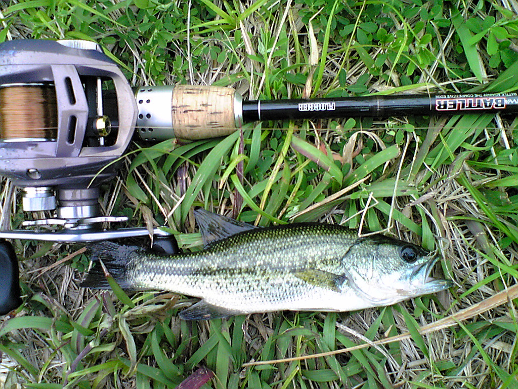 Image085.jpg