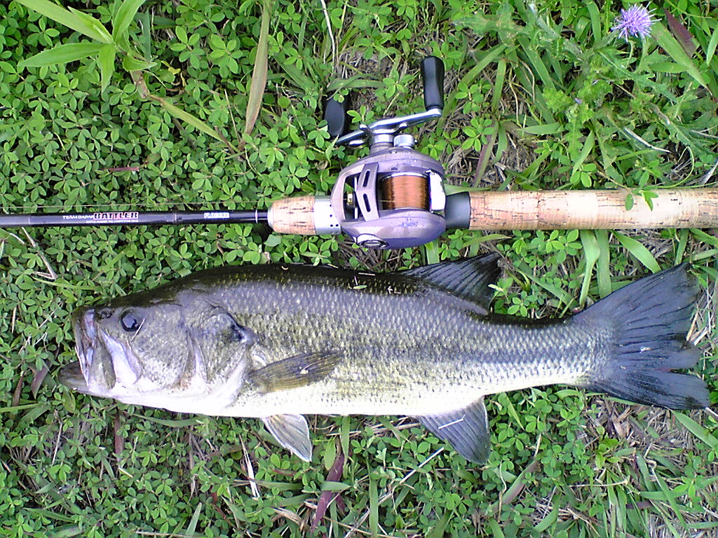Image086.jpg