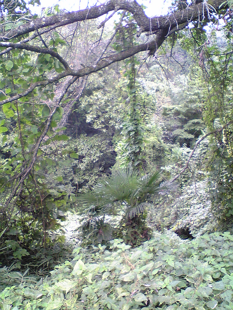 Image169.jpg