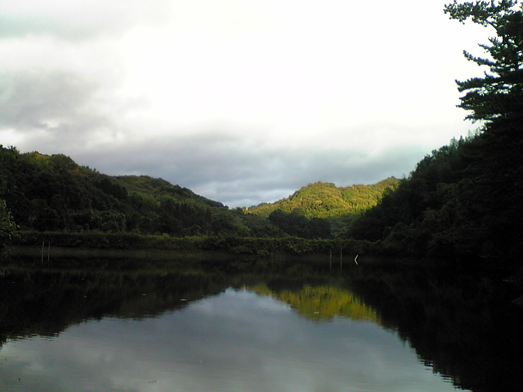 Image179.jpg