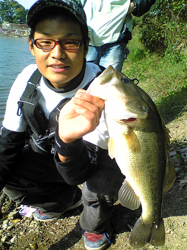 K_8CN47cm.jpg