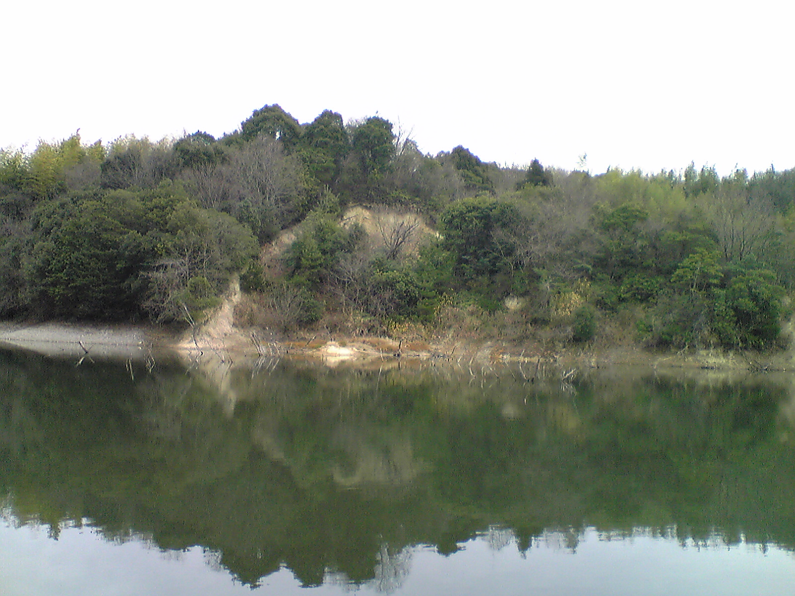Image243.jpg