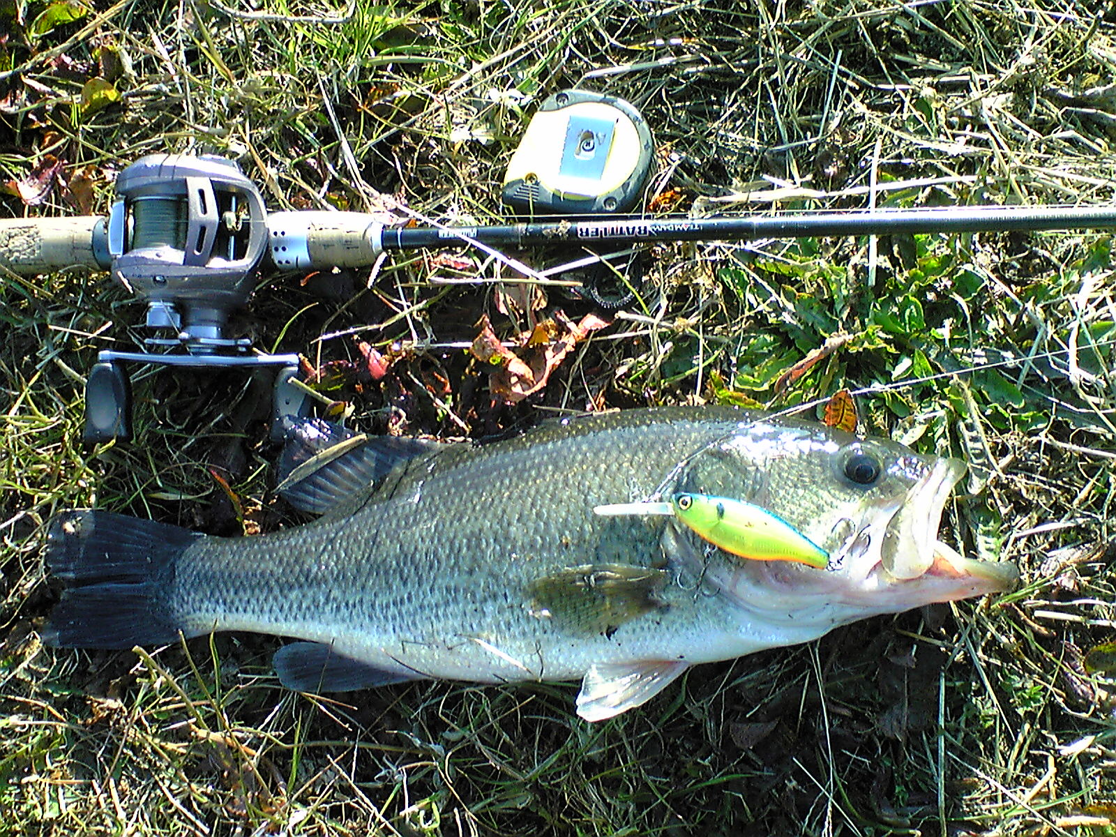 Image021.jpg