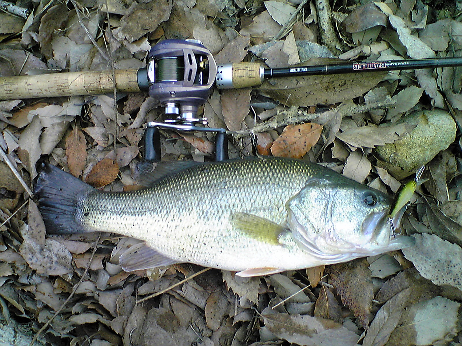 Image026.jpg