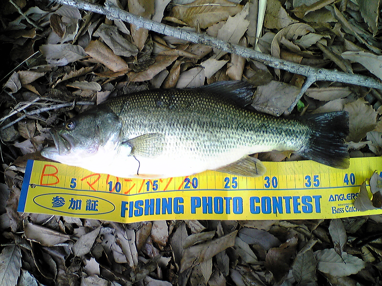 Image015.jpg