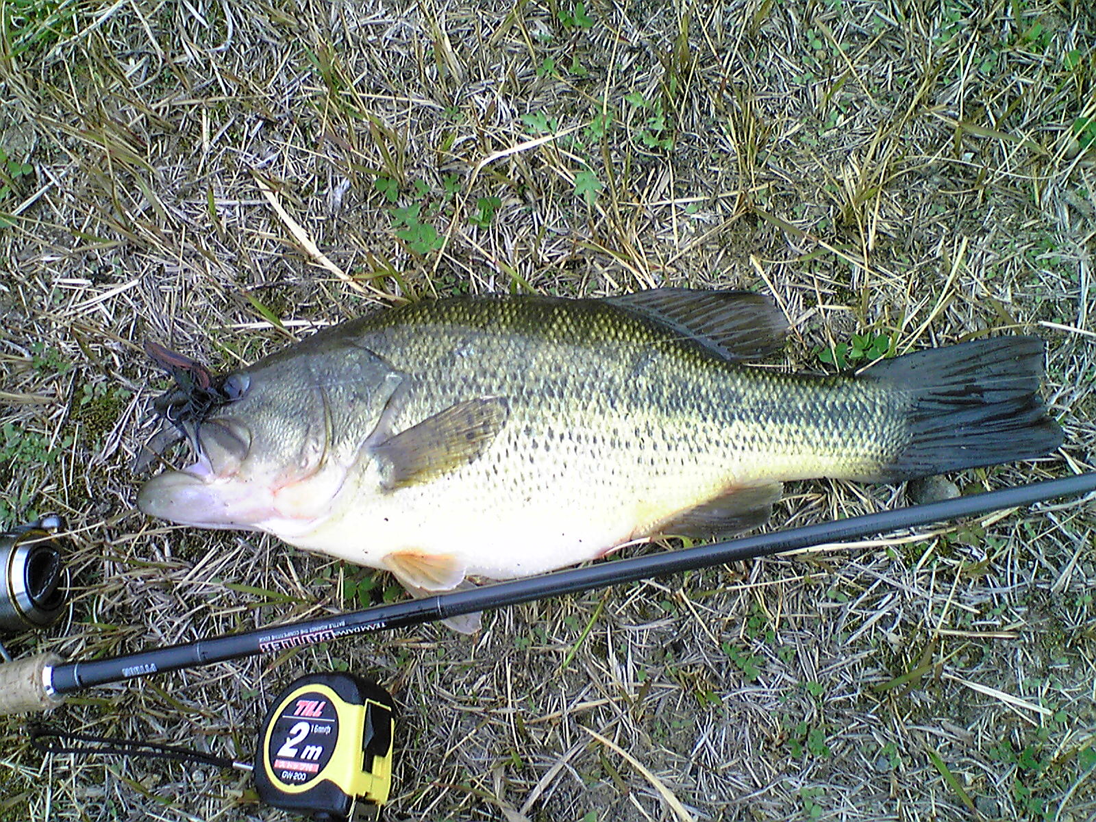 Image002.jpg