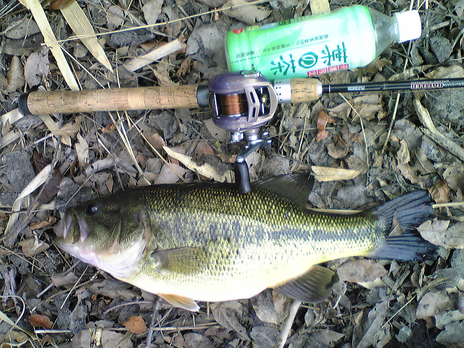 Image006.jpg