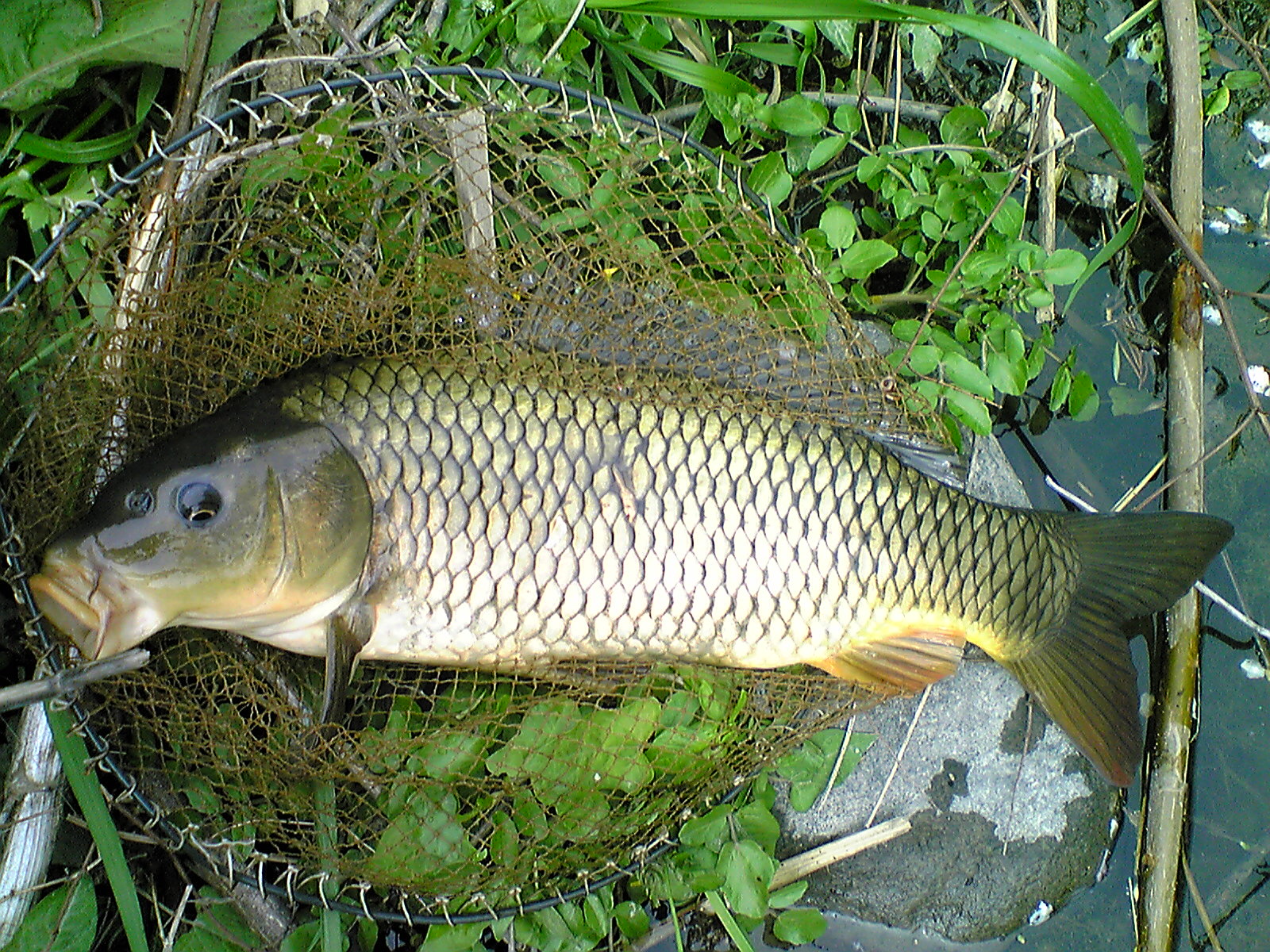 Image002.jpg