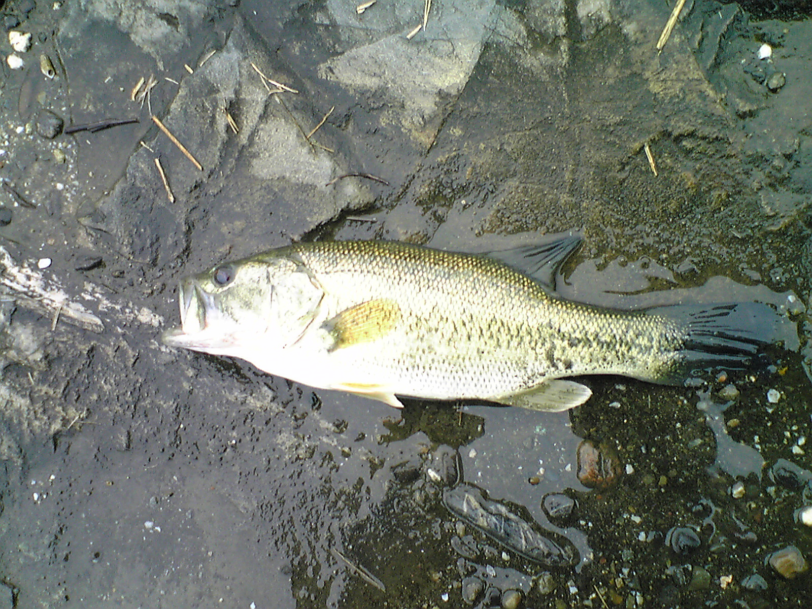 Image014.jpg