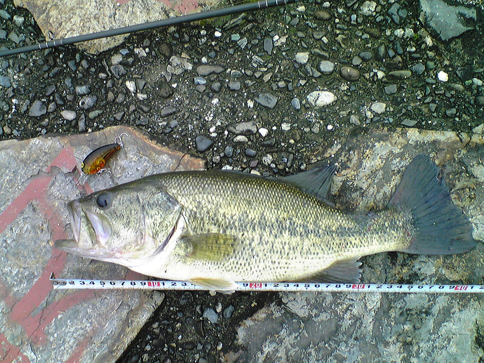 Image016.jpg