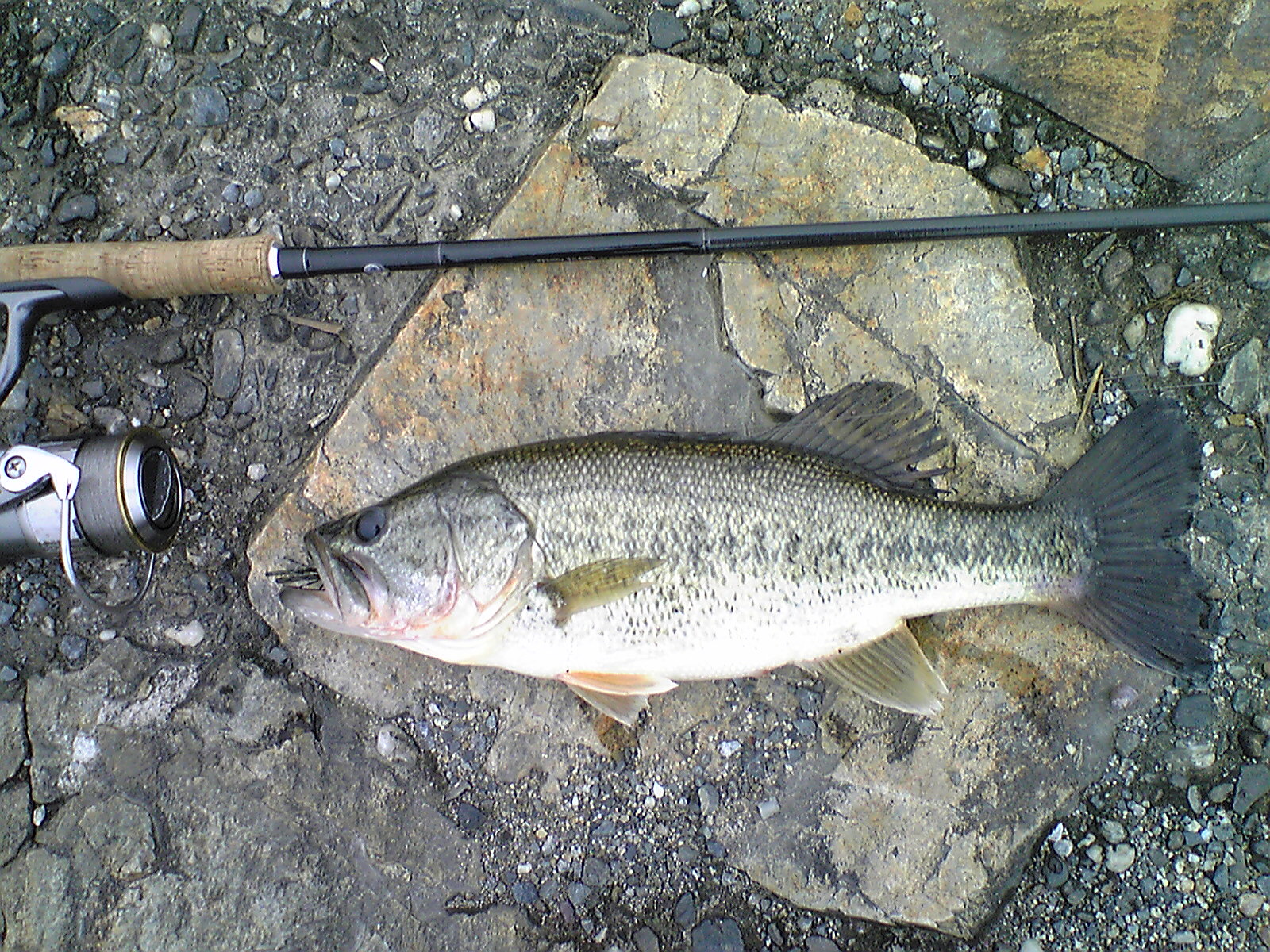 Image017.jpg