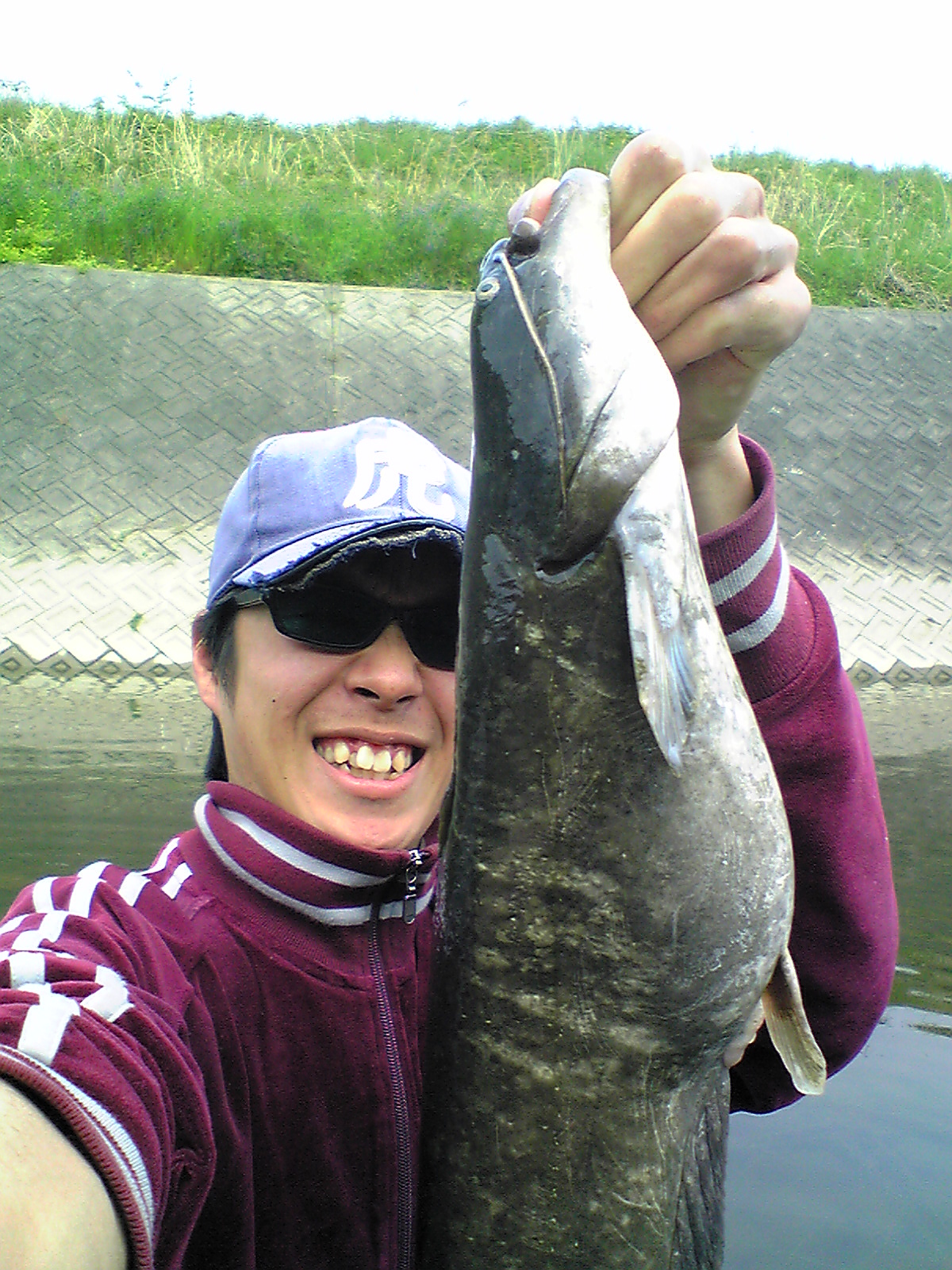 Image012.jpg