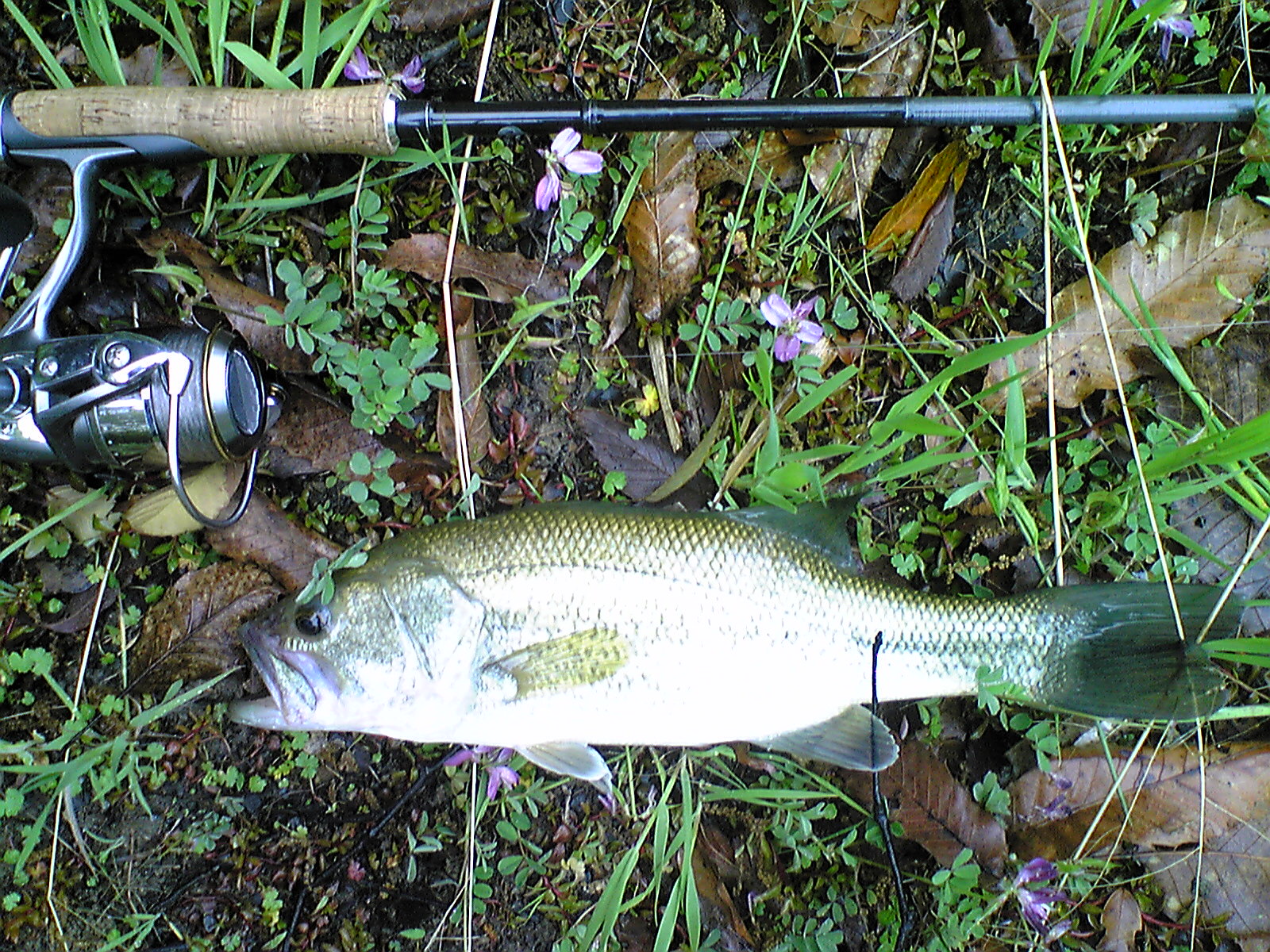 Image012.jpg