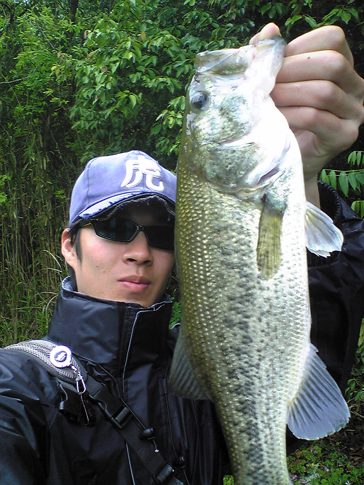 Image013.jpg