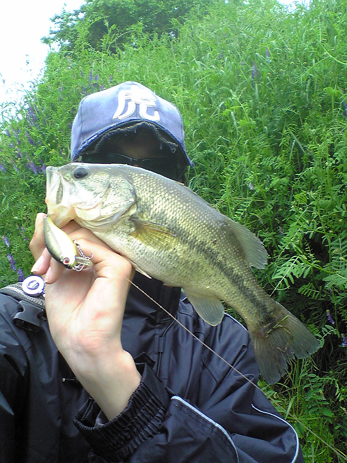 Image014.jpg