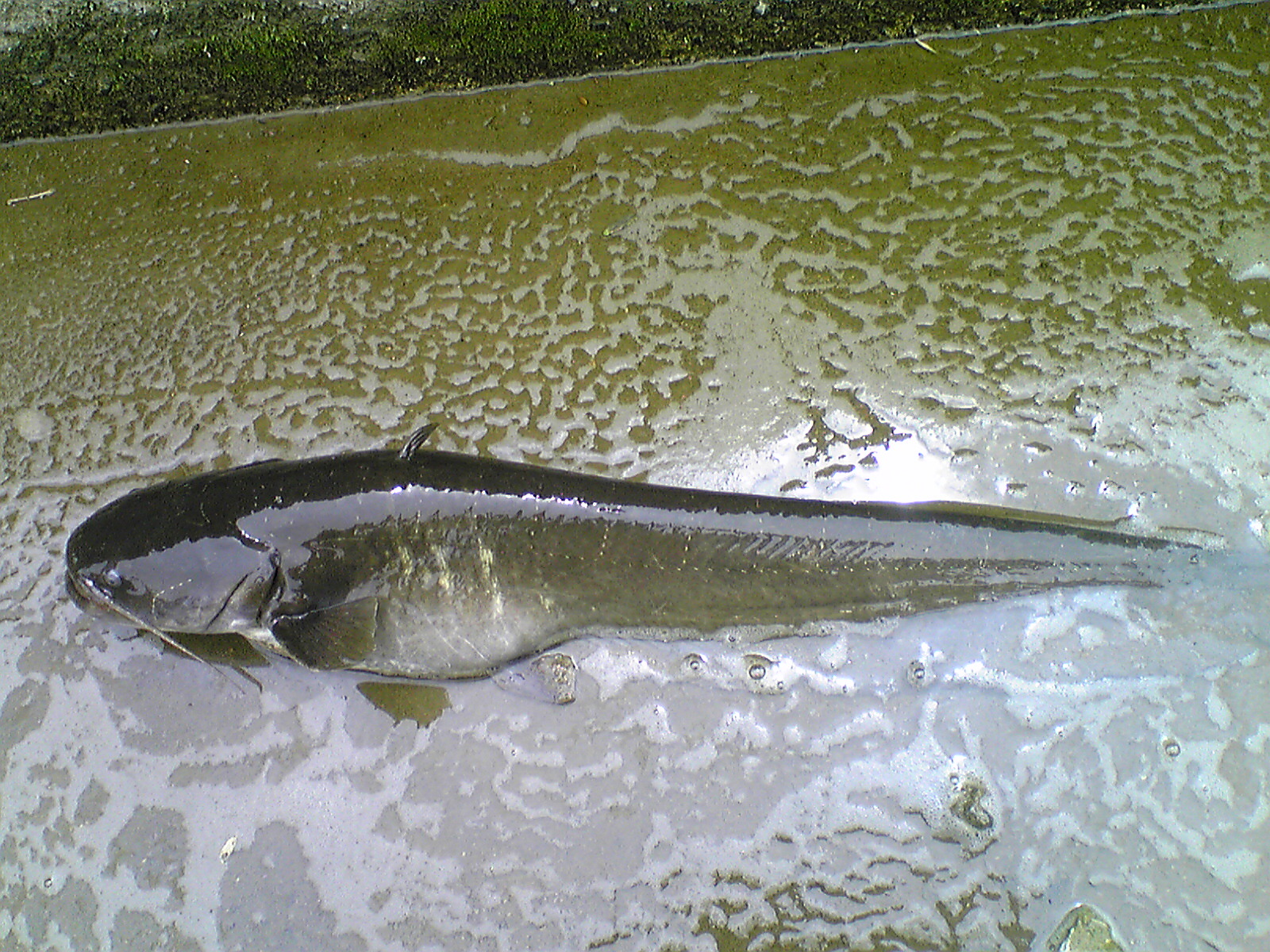 Image015.jpg
