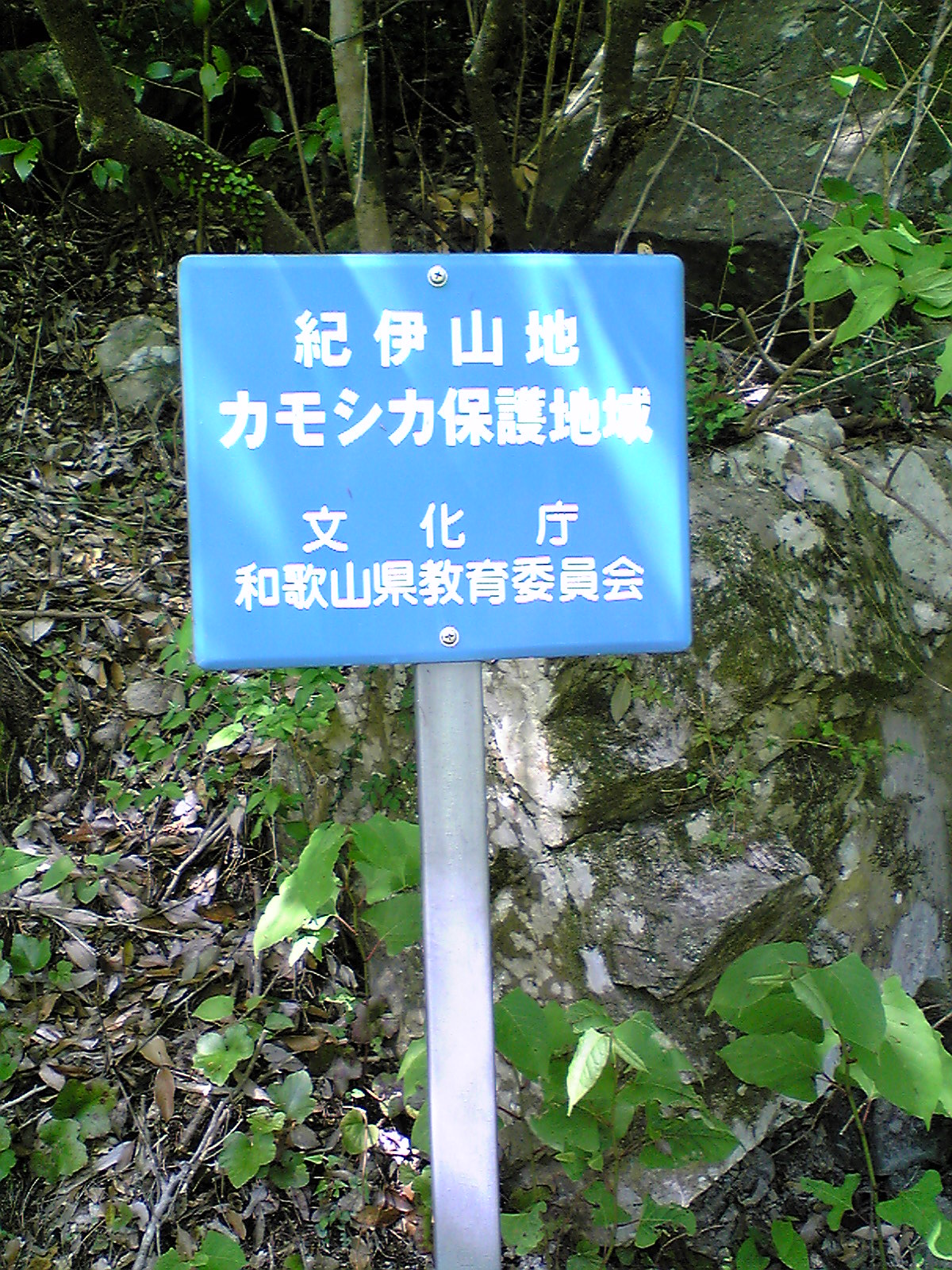 Image02.jpg