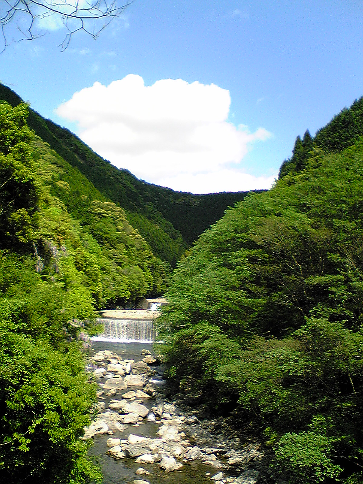 Image03.jpg