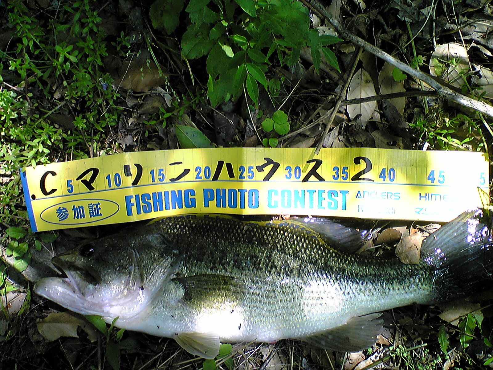 Image028.jpg