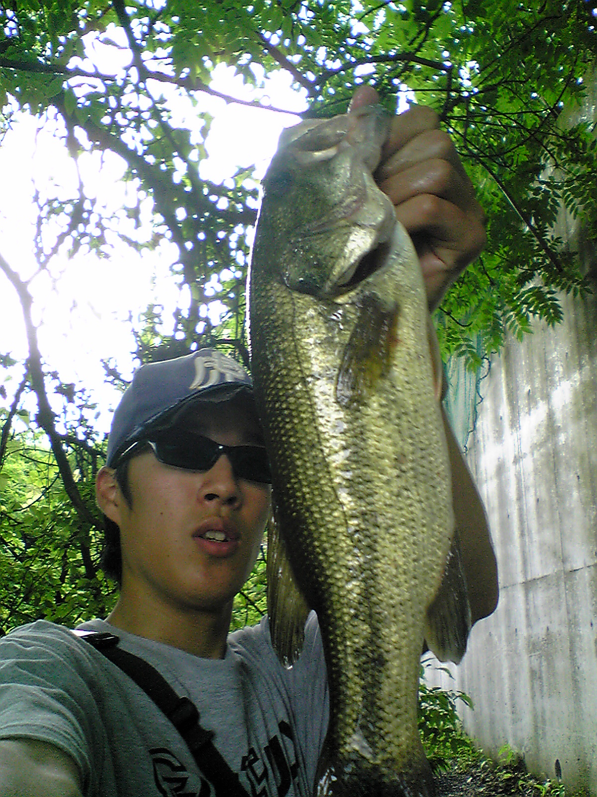 Image061.jpg