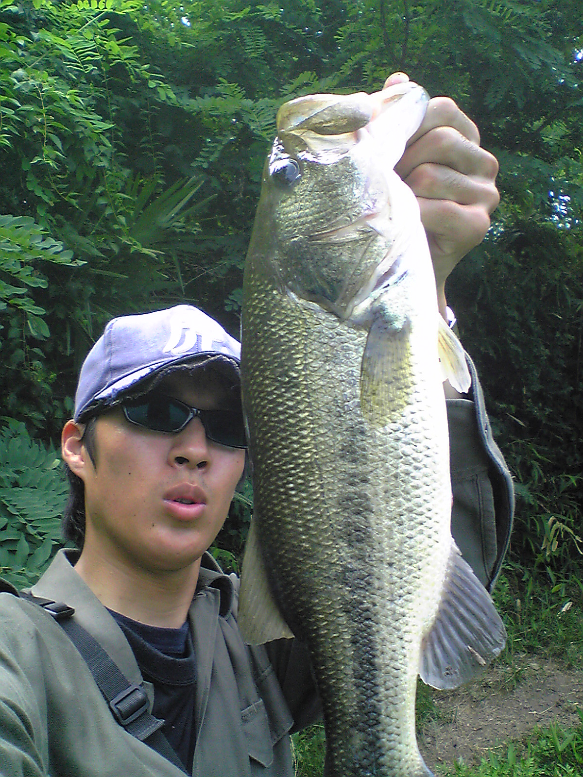 Image09.jpg