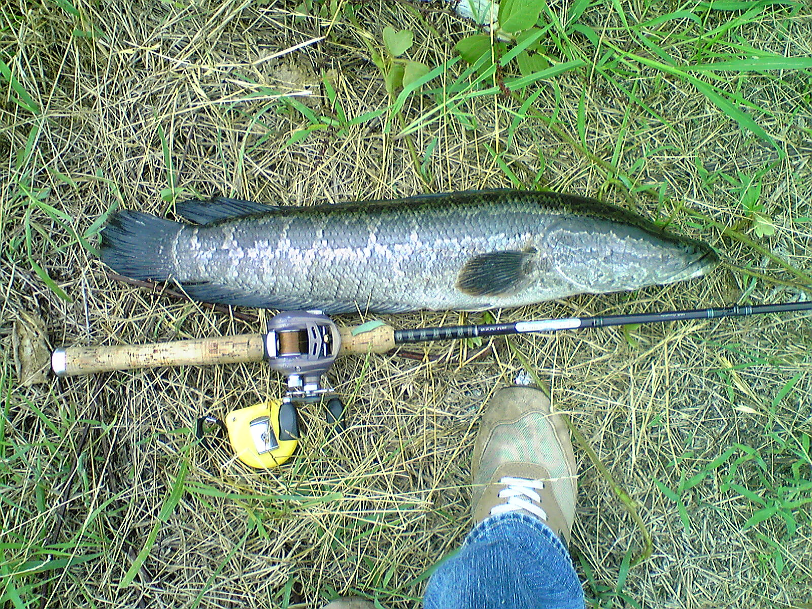 Image113.jpg