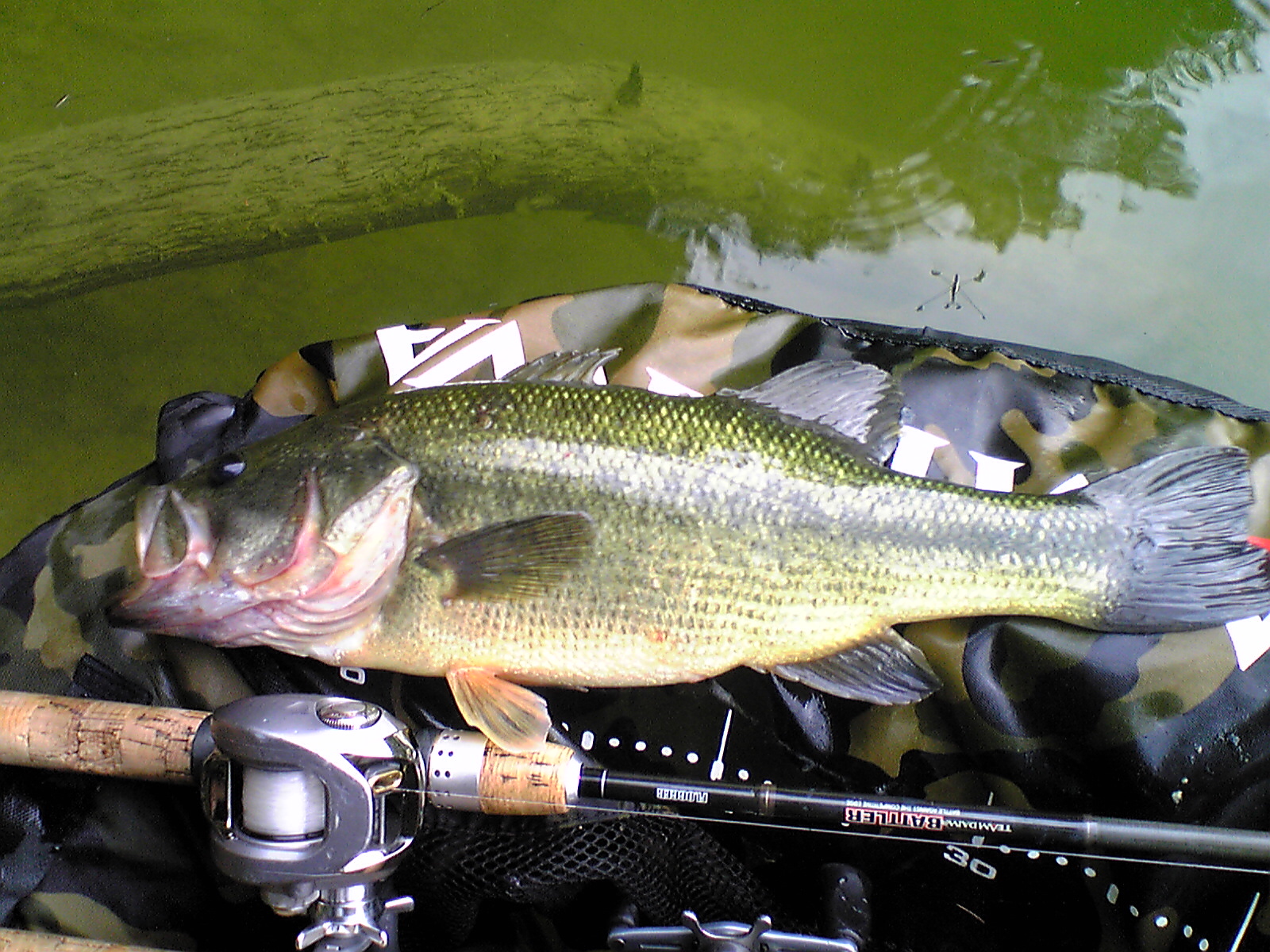 Image120.jpg
