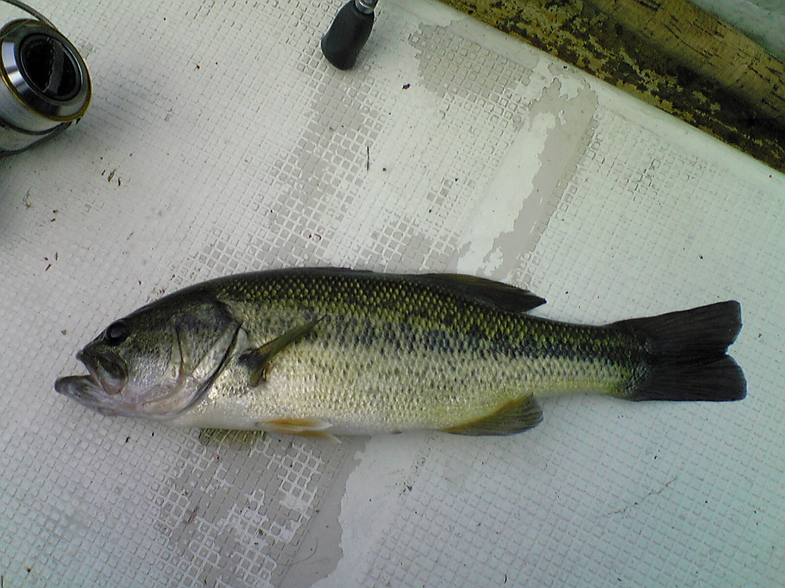 Image123.jpg