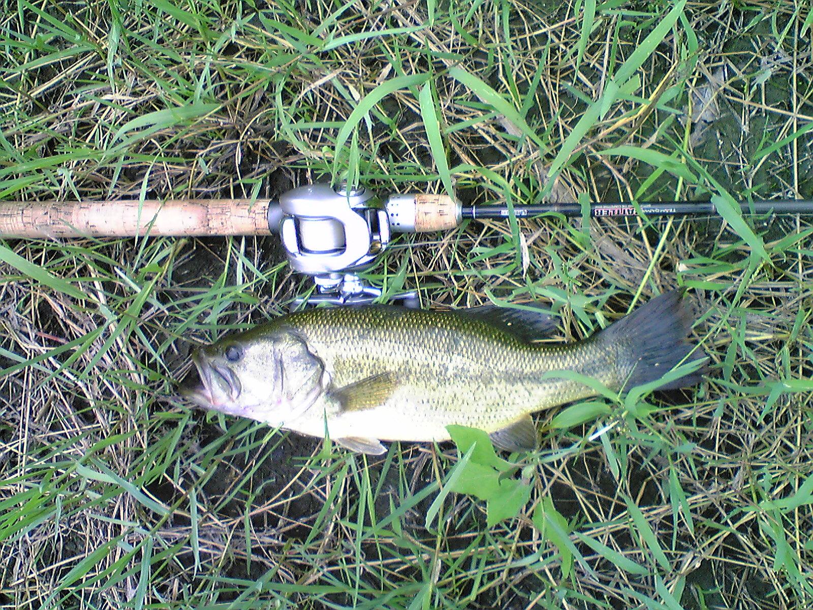 Image136.jpg