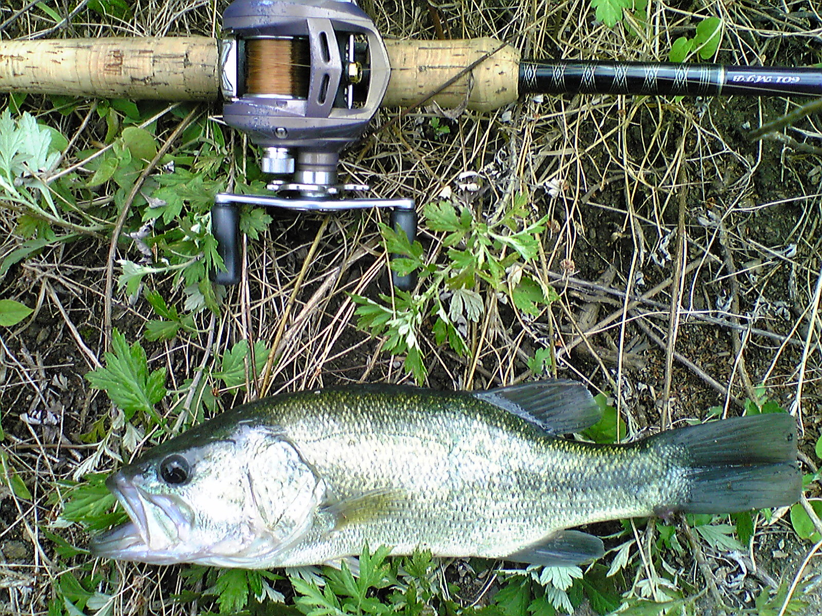 Image140.jpg