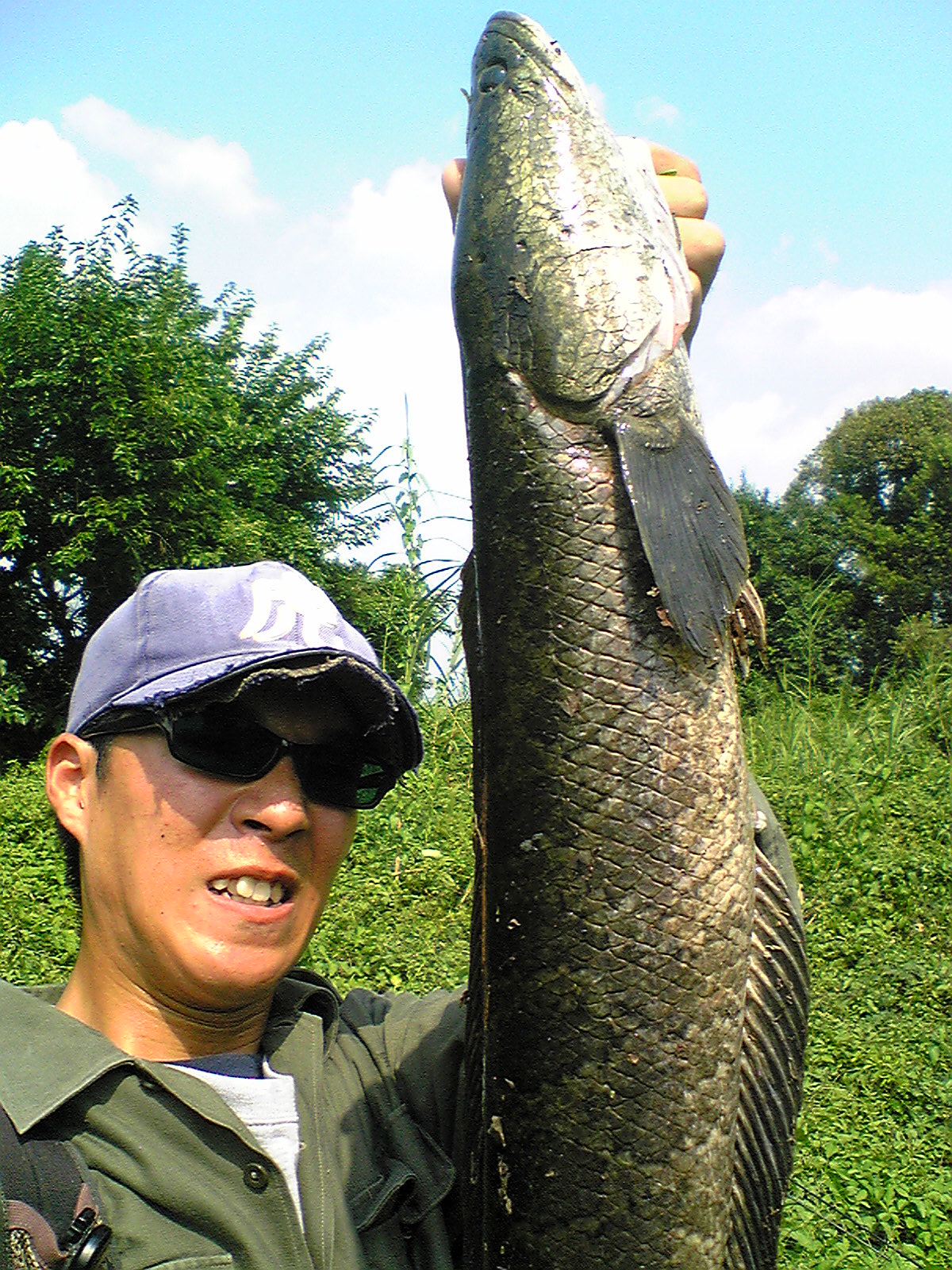 Image133.jpg