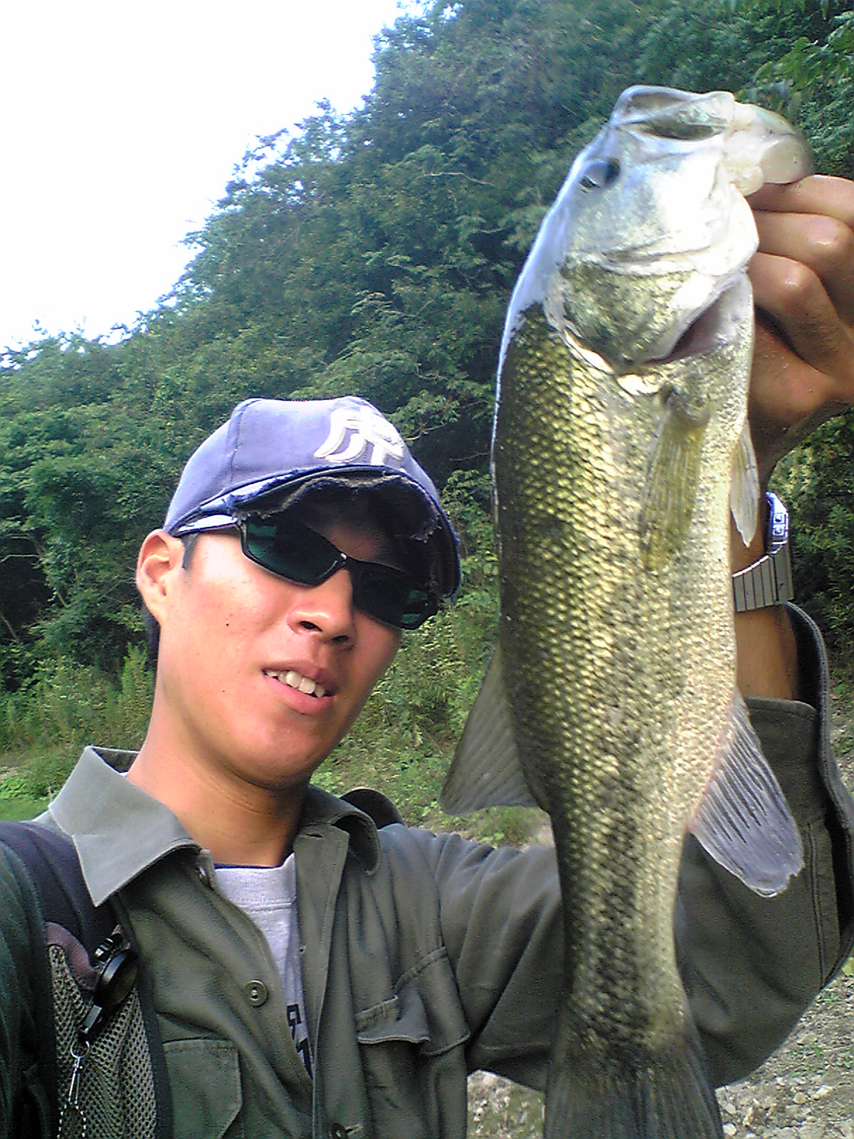 Image134.jpg