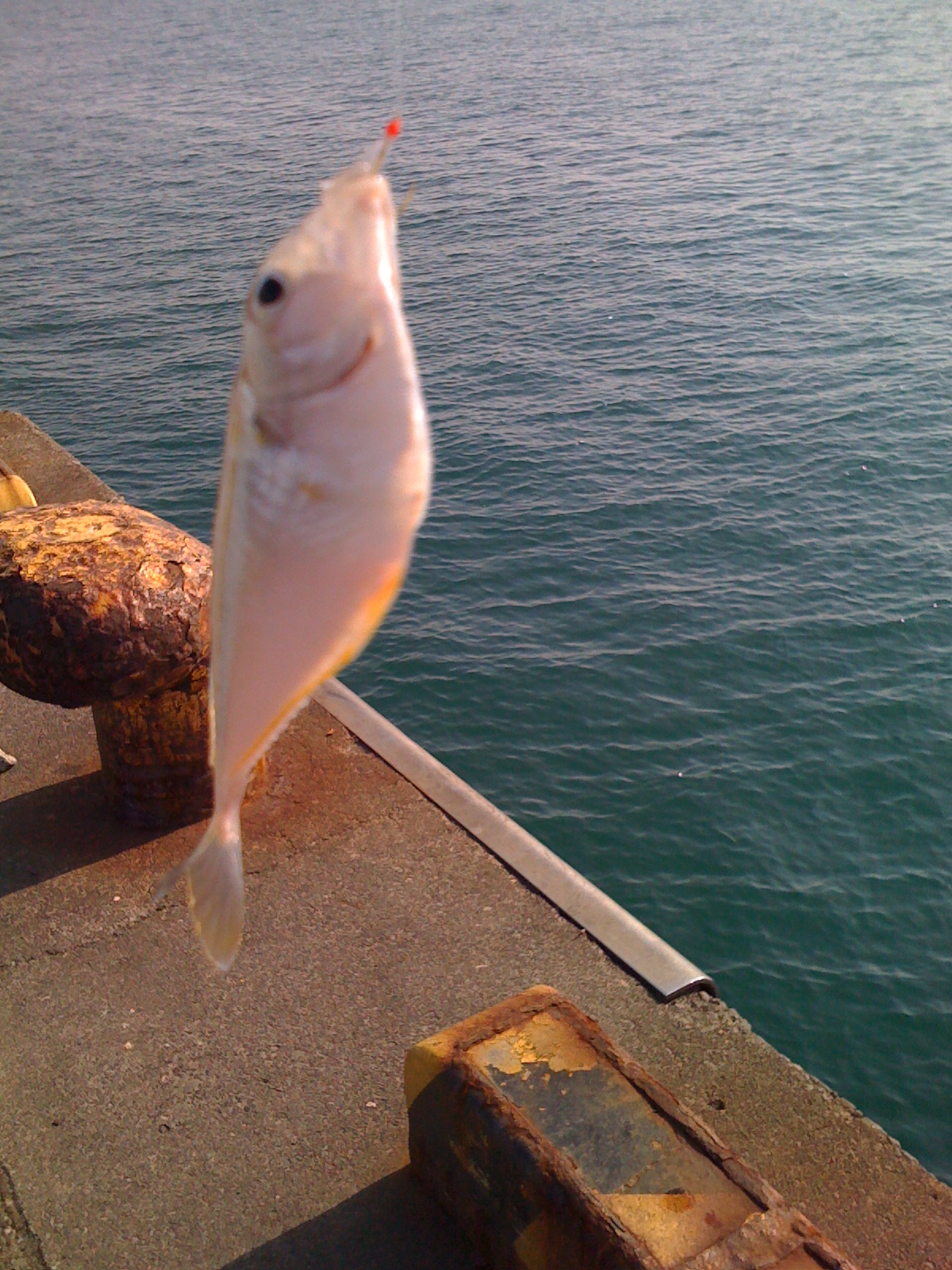 IMG_1073.JPG